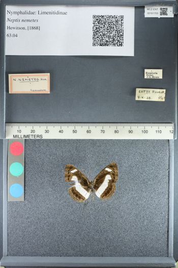 Media type: image;   Entomology 161703